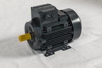 ELK Motor IE2 0.18 kW, 4P, 1400 apgr., Korpusa izmers 063, Montāža kājas - B3, 230/400V (D/Y), 50Hz, Aluminija korpus IP55, Svars 4,2kg. 2EL063M4CPDA0000