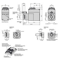 AG25-0002 Geared motortype AG25-66-50W-IP54-KR/14-A-ABM-EIP-SW AG250002 Siko