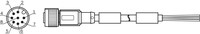 Konektors ar kabeli YM2A28-050UA6XLEAX, M12, 8-PIN, taisns, paps, kabelis 5m, IP65/IP67, 6036155 Sick