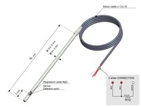 Temperature sensor, PT100, 6 x 50mm, cable 3m, -40….250ºC, 2000.00.039, PIXSYS
